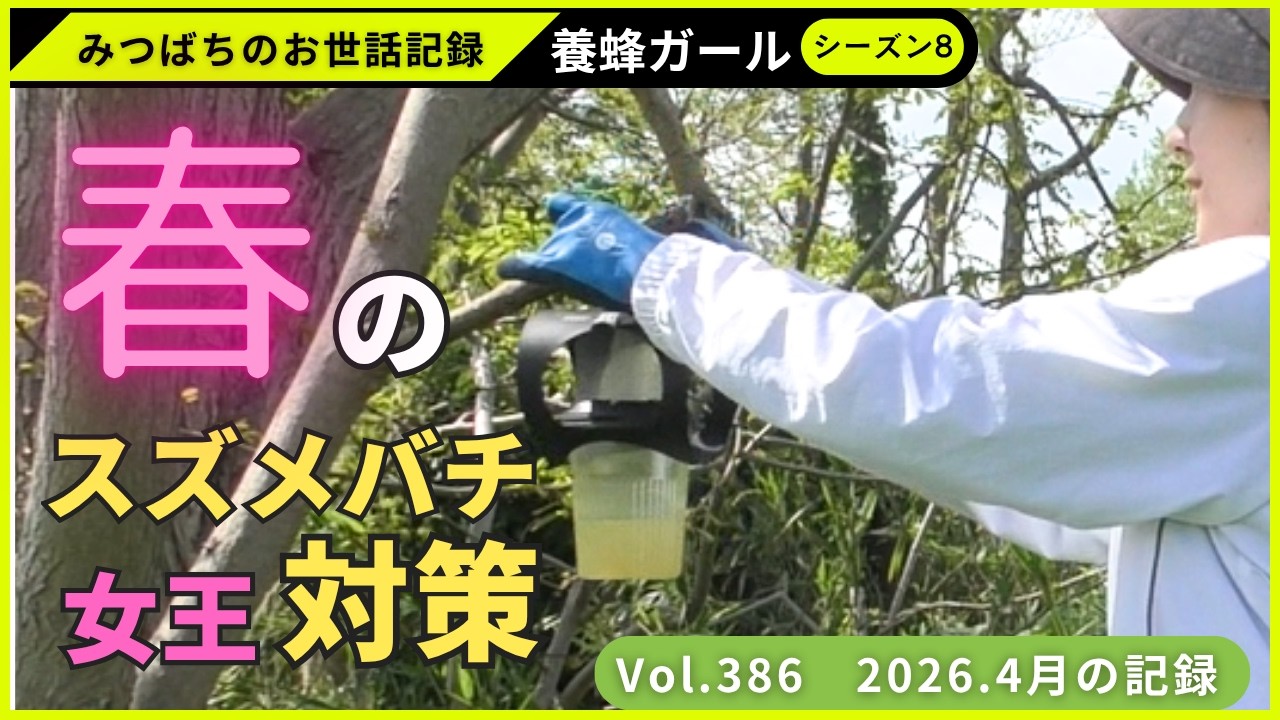 ハチミツ 高田農園「西浦はちみつ生詰めはちみつ」100g×2瓶 ギフト箱 ※常温