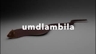 umdlambila