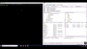 FTP raspberry + Filezilla