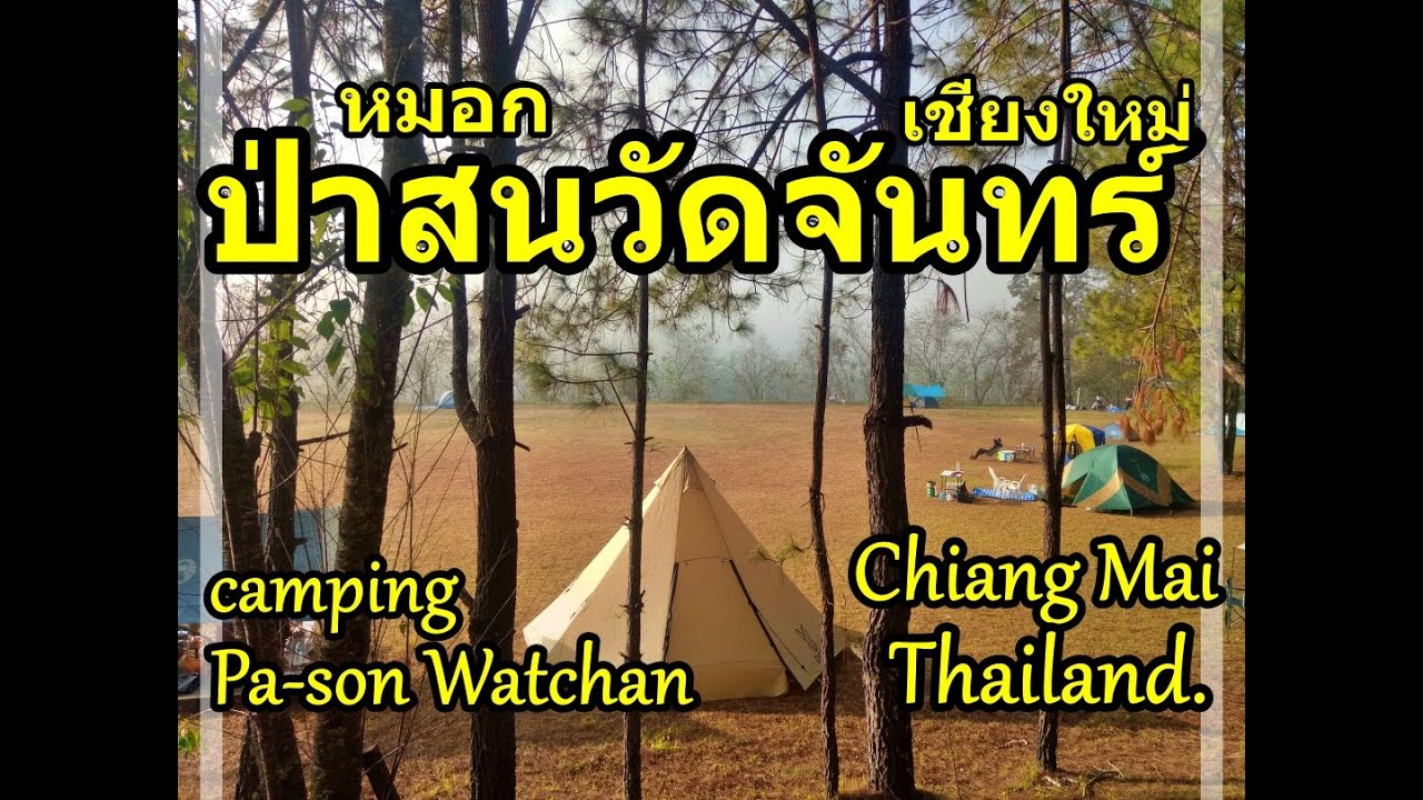 ป่าสนวัดจันทร์ เชียงใหม่ Pa-son Watchan Camping Chiang Mai Thailand.#ทริปตามใจไปตามทาง