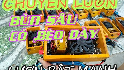 Kích Chuyên Lươn | 0938079962