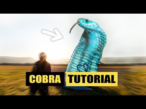 Paragliding cobra take off tips Paragliding Tutorial