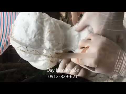 Video Nhận dạy làm khuôn silicone cho tượng, thạch cao,xi... - youtube