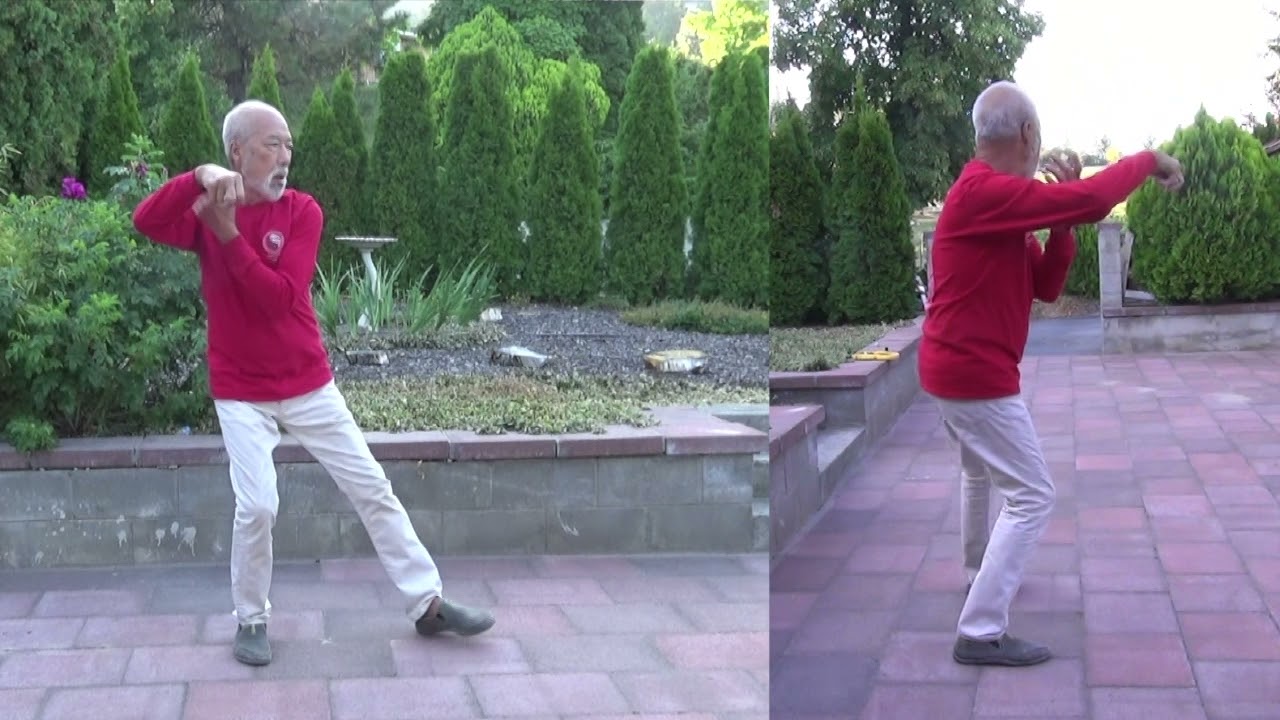108 moves Moy TaiChi set - Move #31 to #33 Single Whip