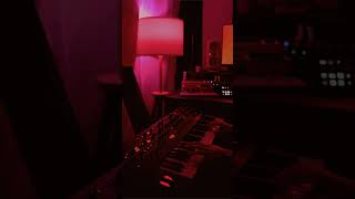 Stranger Things - Kids (Prophet 6 Cover)  #synthesizer  #strangerthings #prophet6