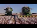 Johnson Farms Cotton Harvest