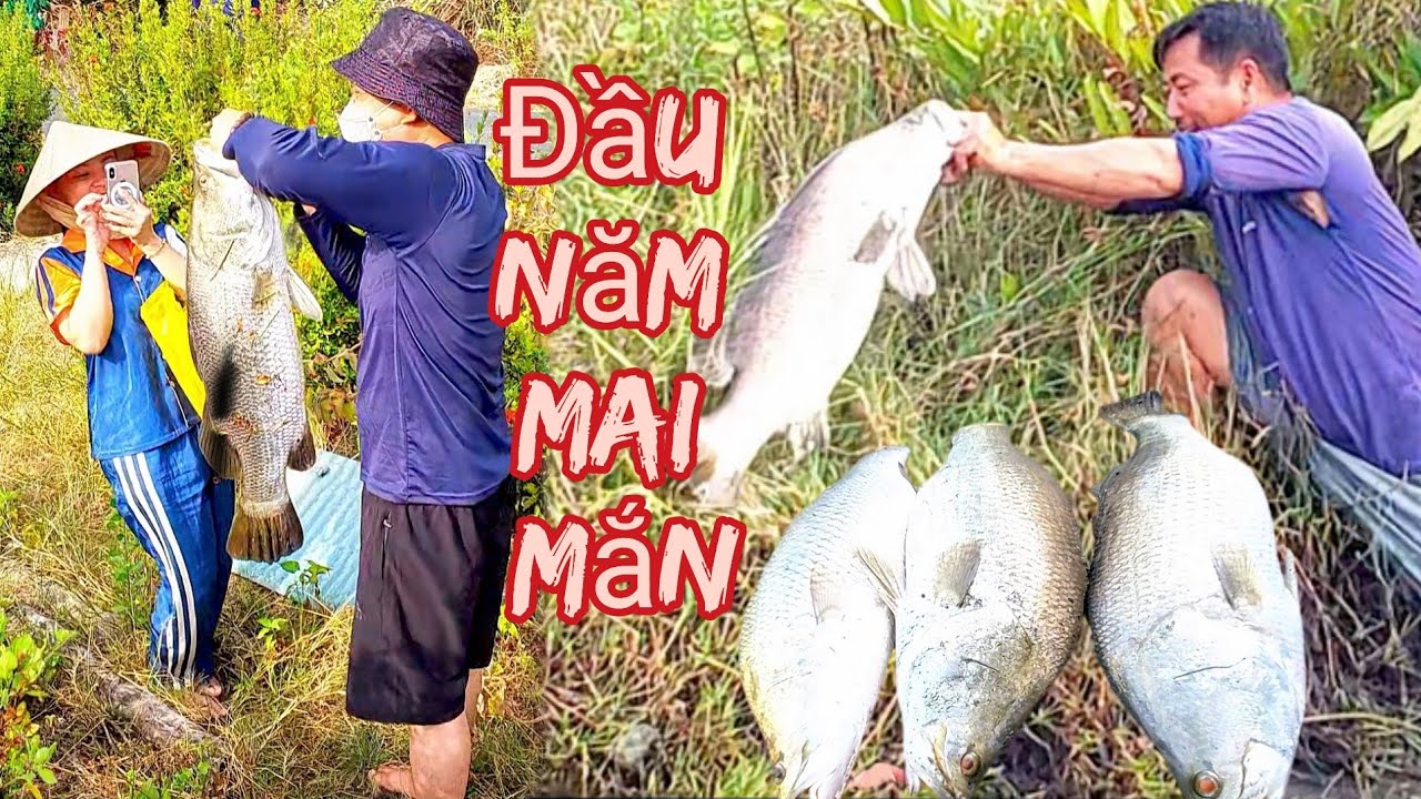 #601,#Sau vài giờ chờ đợi thì những con cá khủng đã xuất hiện...