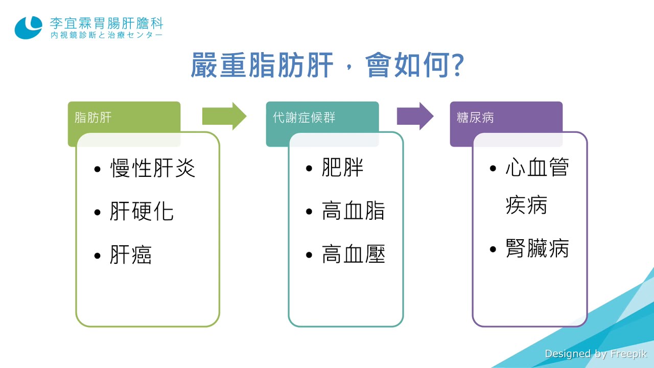 脂肪 肝 治療