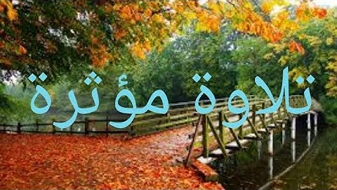 الشيخ محمود خليل الحصري تلاوة مؤثرة🌱 استمع بقلبك 🌱حالات واتس اب 🌱