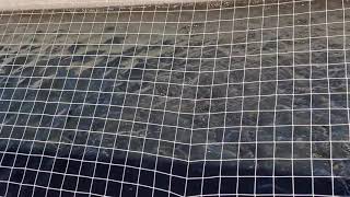 Fish Hatchery at Watson Lake State Park ~ in Belleview