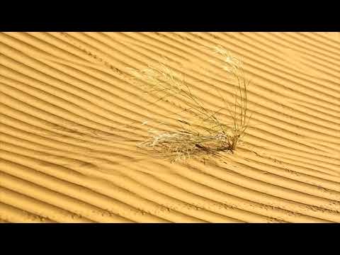 صوت رياح في صحراء تراب الربع الخالي اصوات الطبيعة      