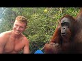 SLAPPED BY AN ORANGUTAN IN INDONESIA!!! 🦧🇮🇩