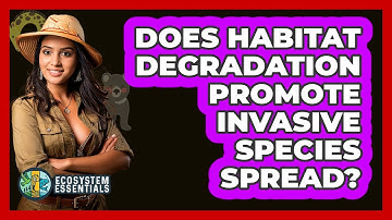 Does Habitat Degradation Promote Invasive Species Spread?