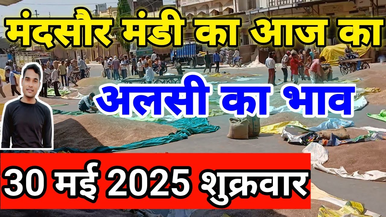 30 मई 2025 शुक्रवार मंदसौर मंडी अलसी का भाव | Mandsaur Mandi Alsi Ka Bhav