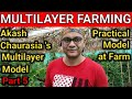 MULTILAYER FARMING | PART 5 | AKASH CHAURASIA 'S MULTI LAYER MODEL | PRACTICAL MODEL AT FARM |