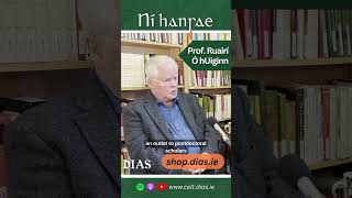 What is the School of Celtic Studies? Ní hansae with Prof. Ruairí Ó hUiginn