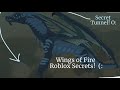 Awesome Secrets in Wings of Fire Roblox! // Faith the Dragonet