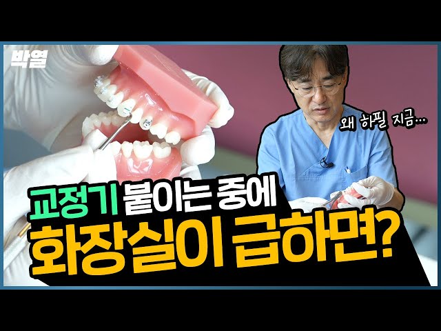 치아교정 장치는 어떻게 부착할까요? 교정과 원장님이 직접 보여드립니다!