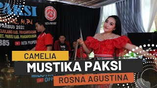 Camelia Cover Rosna Agustina (LIVE SHOW Cidadap Karangnunggal Tasikmalaya)