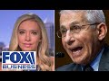 Kayleigh McEnany calls on Fauci to testify before Congress