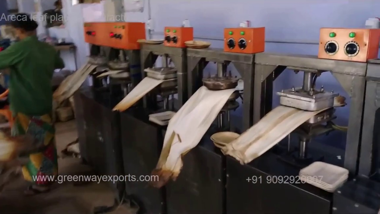 Areca Leaf Plates Manufacturers Www greenwayexports YouTube Areca Leaf Plates Manufacturers Www greenwayexports YouTube