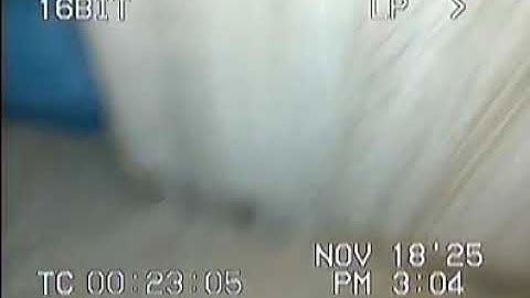 Just curious. - MiniDV Tape 5