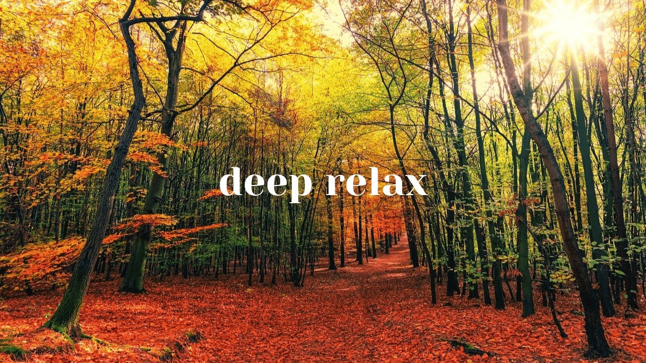 DEEP RELAX in 5 MINUTES Relaxing Music • Peaceful Sleep Music • Calming ...