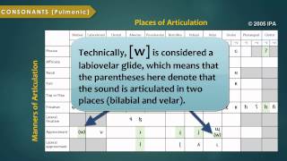 Introduction to the International Phonetic Alphabet