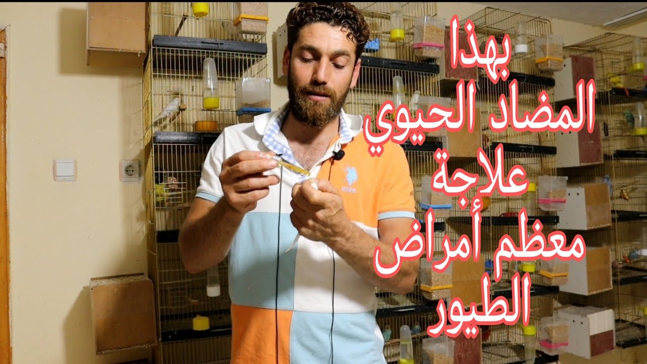 اقوى 3 مضادات حيوية طبيعية في تاريخ الطيور لعلاجها  ووقايتها من جميع الامراض