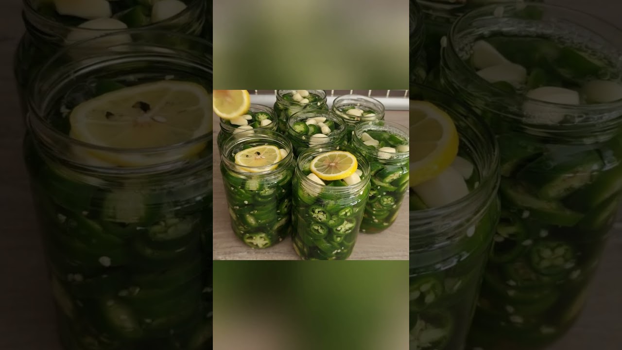 Jalapeno Turşusu 🌶️ Tam Tarif Kanalda! #shorts Jalapeno Turşusu 🌶️ Tam Tarif Kanalda! #shorts