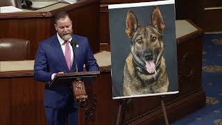 WHEN DANGER STRIKES, IT'S NOT JUST BOOTS ON THE GROUND--IT'S PAWS IN MOTION!