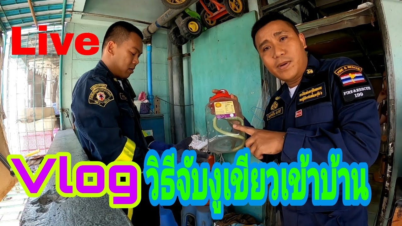 Vlog วิธีจับงูเขียวเข้าบ้าน งานแรก???กลับจากลาพักผ่อน | sakchai channel