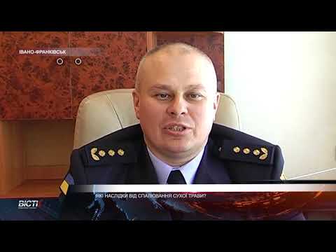 Які наслідки від спалювання сухої трави?