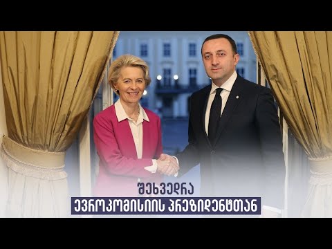 შეხვედრა ევროკომისიის პრეზიდენტთან