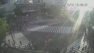 【LIVE CAMERA】渋谷スクランブル交差点 ライブ映像