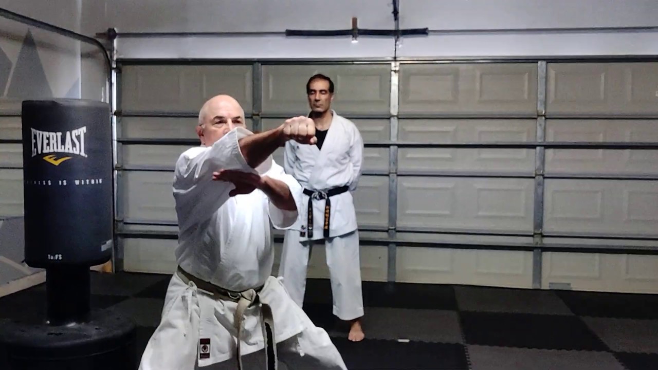 NWKA Corona virus Kihon 2