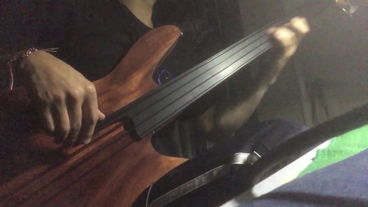 Rob Allen mb2 Fretless mb-2