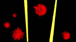 Engrams Project B Final