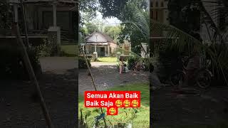 semua akan baik baik saja #agni #selebgram #viral #terbaru