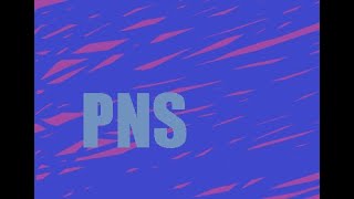 PNS Series: Wavetable Osc with Spline Interpolation