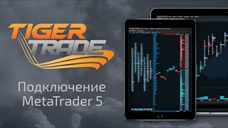 Настройка подключения через MetaTrader 5