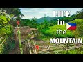  compilation daily life in the mountain cook simple food harvesting gardening