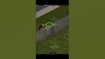 The most dangerous enemy in Project Zomboid!!! #projectzomboid #notthezombies #lol #facepalm 🤦‍♂️