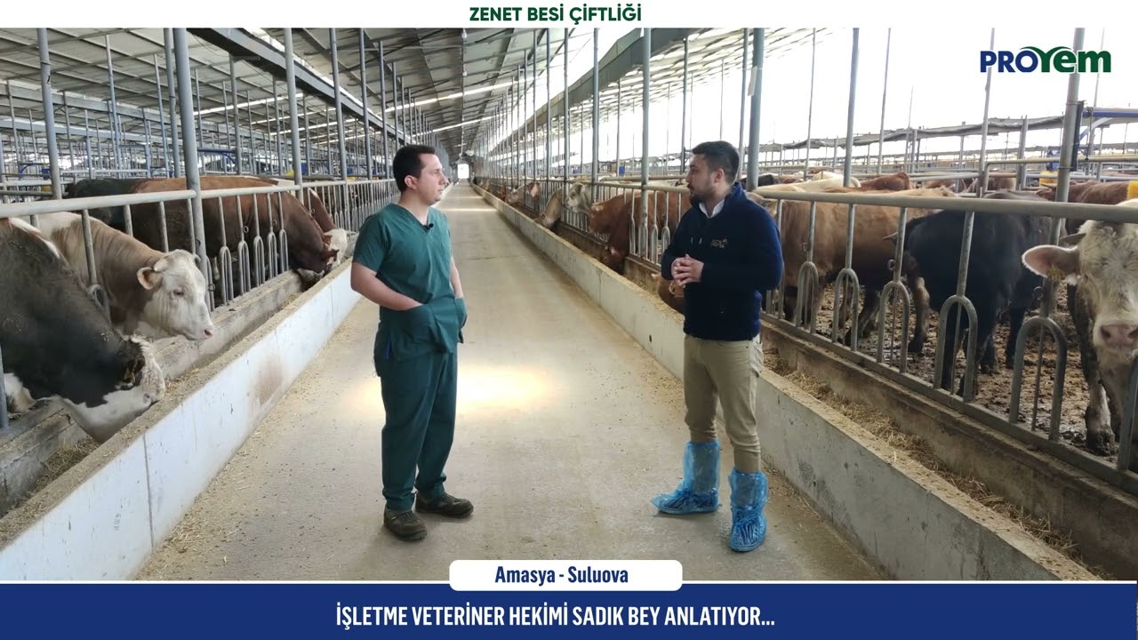 Zen Et Besi Çiftliği 2 - Proyem ile Kazananlar...