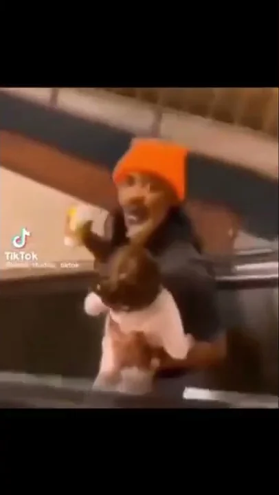爆笑 動画 海外