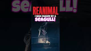 The Seagull Wont Leave Me Alone! - REANIMAL