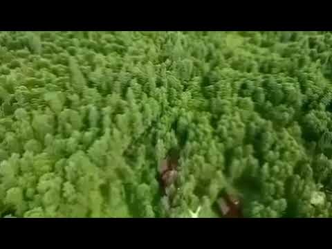 خطبة عن العشر الأواخر من رمضان