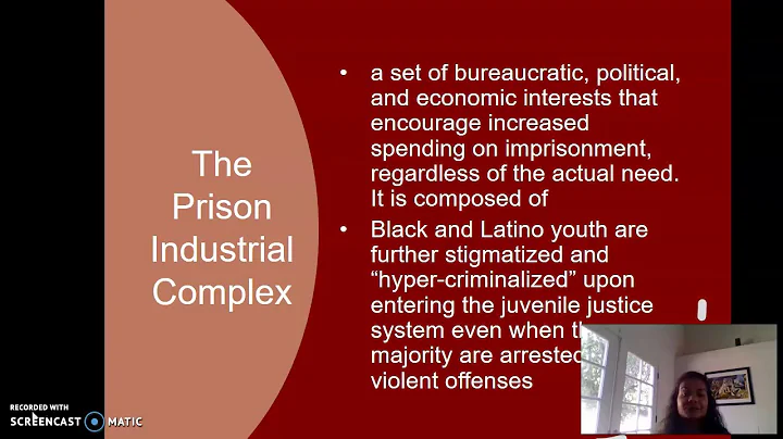 The Prison Industrial Complex