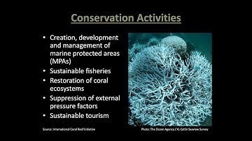 CFA Webinar: Coral Reef Finance