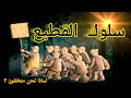سلوك القطيع لماذا نحن متخلفون 